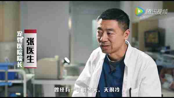 宠物医院(正规宠物医院)