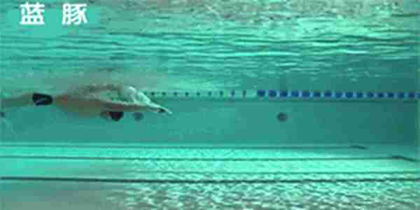 游泳初学者一定要掌握的基础动作练习！