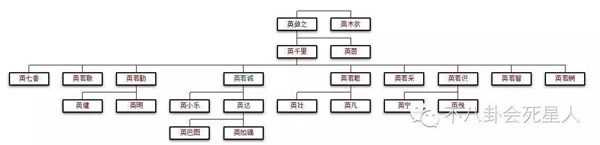 伊能静不姓伊，金城武不姓金，圈内的稀奇姓氏还有哪些？