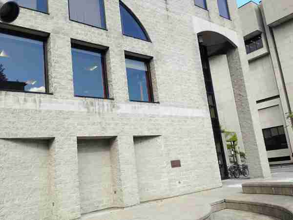 现在读什么专业就业前景好(去国外留学选什么专业最好呢)