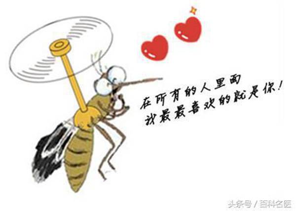 蚊子喜欢叮咬什么血型的人?谁是蚊子的“美味大餐”?这5类人最危险