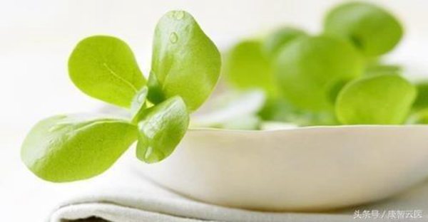 怀孕时有很多不能吃的东西,尤其是怀孕初期更要注意