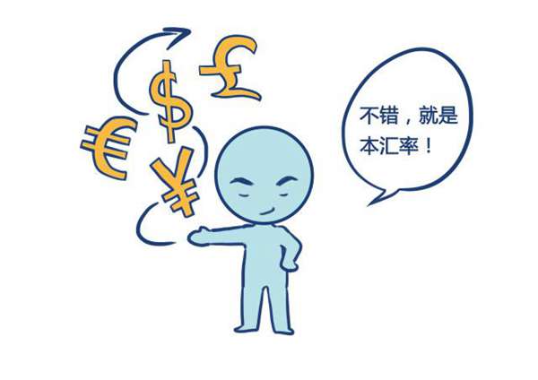 什么是汇率(汇率是由什么决定的)