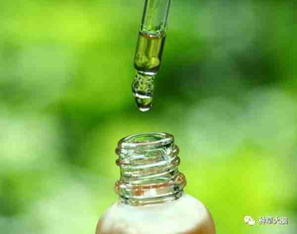 玻尿酸原液的正确使用方法｜貌似好多人都用错了