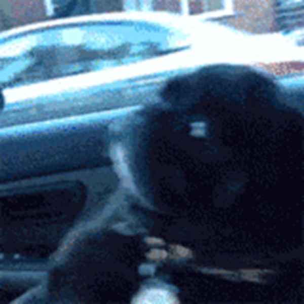 人为什么会晕车?如何坐车才不会晕?答案都在这里