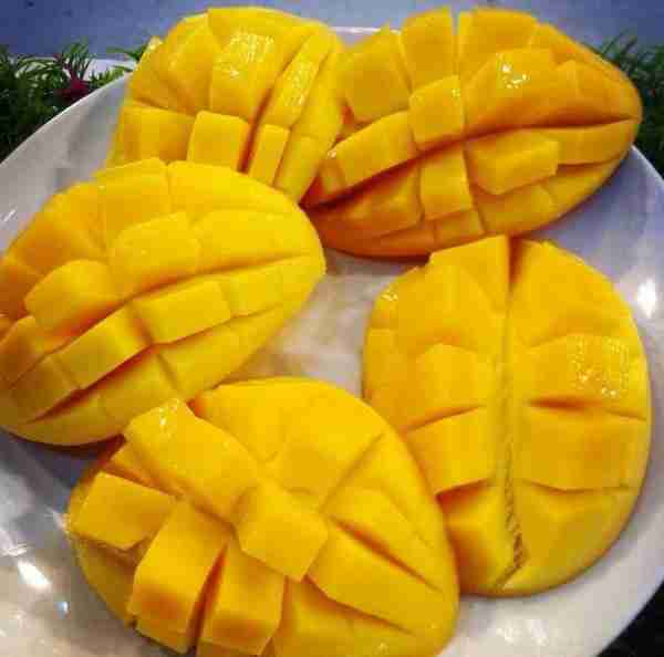 加盟品质上乘的泰芒了，辨别正宗泰芒了