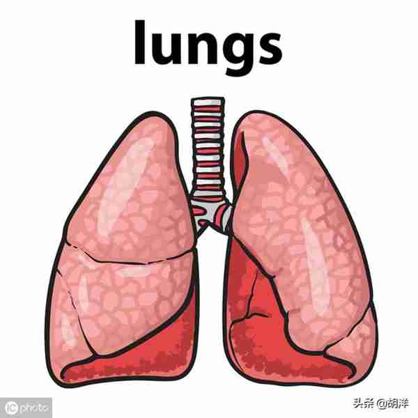 什么样的症状提示肺癌,医生列出7点,每一点都可能是肺癌征兆