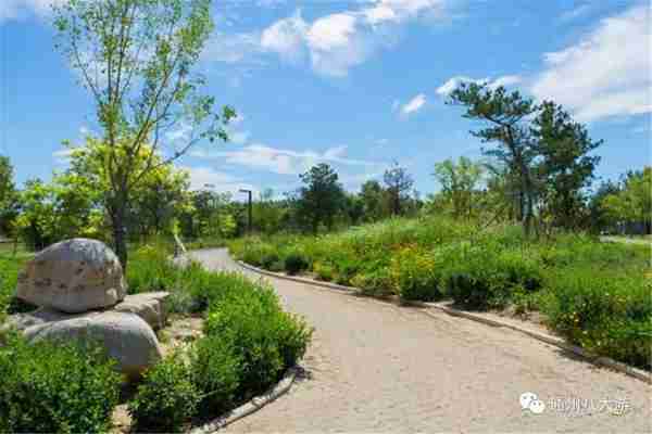 独家探秘丨通州这座会喝水的雨水花园露出真容,神奇“海绵体”美炸天了!