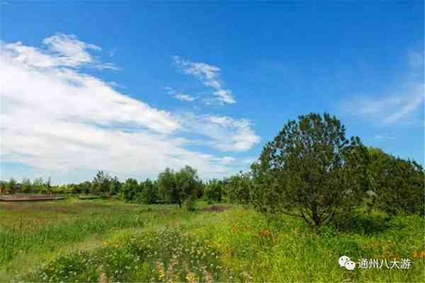 独家探秘丨通州这座会喝水的雨水花园露出真容,神奇“海绵体”美炸天了!