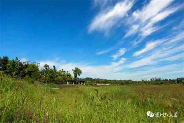 独家探秘丨通州这座会喝水的雨水花园露出真容,神奇“海绵体”美炸天了!