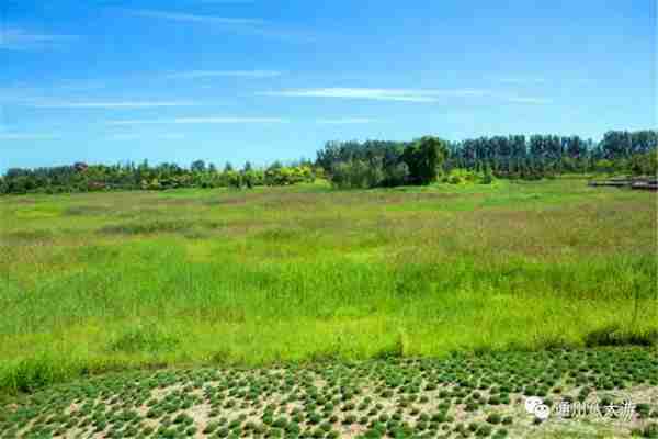 独家探秘丨通州这座会喝水的雨水花园露出真容,神奇“海绵体”美炸天了!