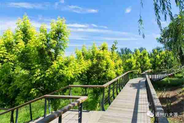 独家探秘丨通州这座会喝水的雨水花园露出真容,神奇“海绵体”美炸天了!