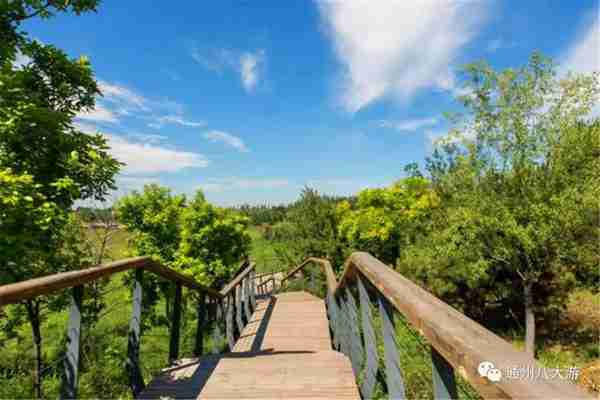 独家探秘丨通州这座会喝水的雨水花园露出真容,神奇“海绵体”美炸天了!