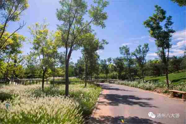 独家探秘丨通州这座会喝水的雨水花园露出真容,神奇“海绵体”美炸天了!