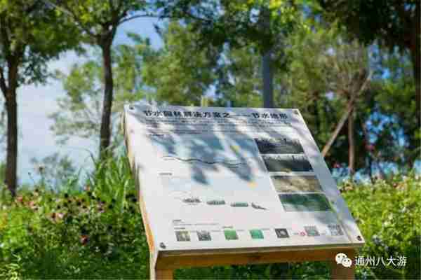独家探秘丨通州这座会喝水的雨水花园露出真容,神奇“海绵体”美炸天了!