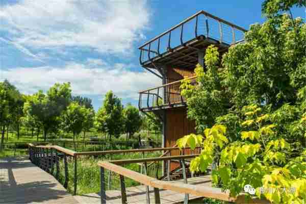 独家探秘丨通州这座会喝水的雨水花园露出真容,神奇“海绵体”美炸天了!