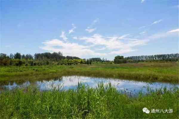 独家探秘丨通州这座会喝水的雨水花园露出真容,神奇“海绵体”美炸天了!