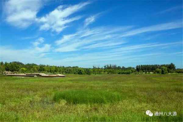 独家探秘丨通州这座会喝水的雨水花园露出真容,神奇“海绵体”美炸天了!