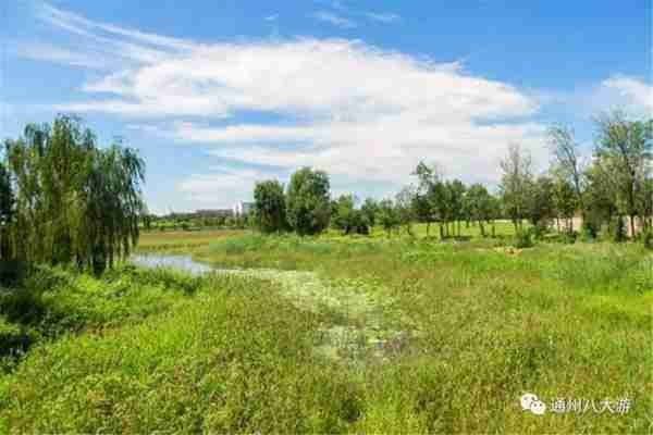 独家探秘丨通州这座会喝水的雨水花园露出真容,神奇“海绵体”美炸天了!