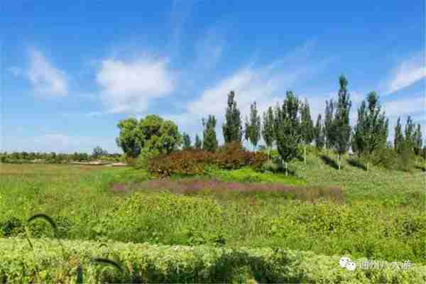 独家探秘丨通州这座会喝水的雨水花园露出真容,神奇“海绵体”美炸天了!