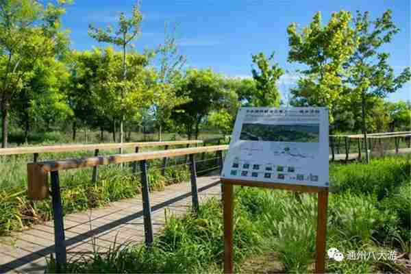 独家探秘丨通州这座会喝水的雨水花园露出真容,神奇“海绵体”美炸天了!