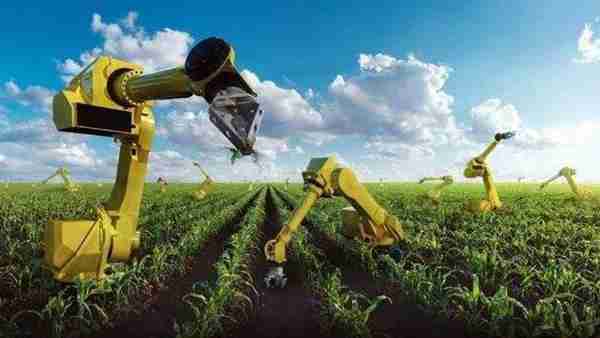 十大挣钱行业,好项目不等人