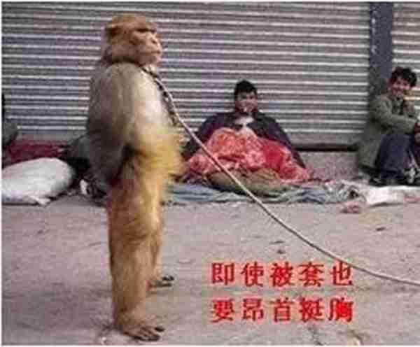 导购的3种基本礼仪，每个店员都要懂