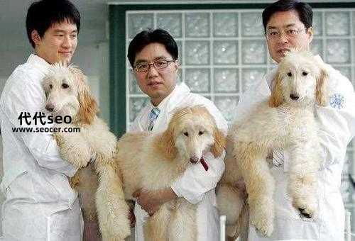 为什么不能克隆人(动物能够克隆人为什么不可以)