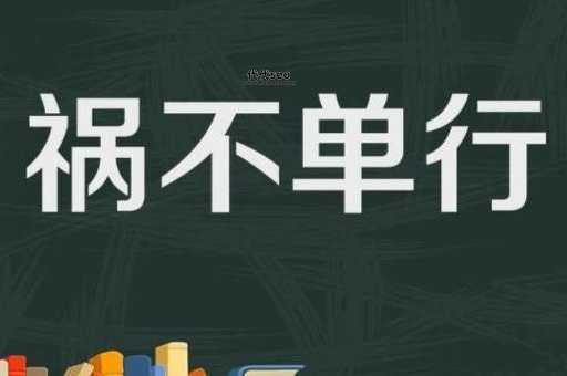 祸不单行什么意思（这是真的祸不单行）