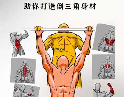 引体向上怎么练(如何引体向上速成)