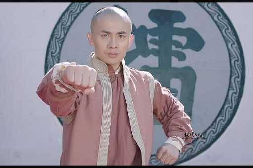 武林传奇8(八卦拳之武林争霸)