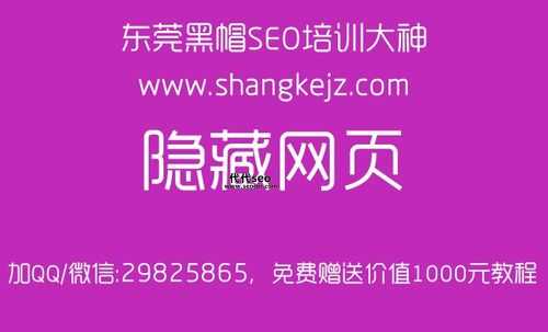 郴州seo(网站流量能涨起来吗)