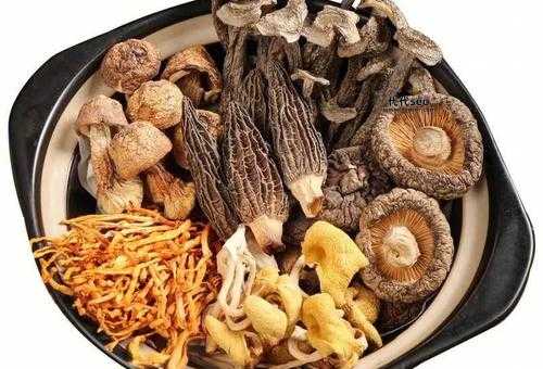 干货是什么意思(为什么会说干货分享)