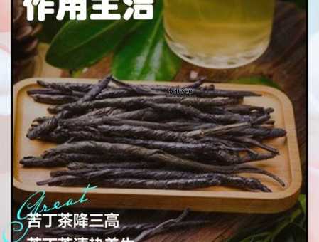 苦丁茶的副作用和危害( 它到底会对身体造成什么危害)