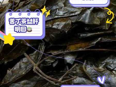 苦丁茶的副作用和危害( 它到底会对身体造成什么危害)
