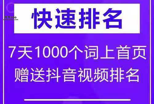 东莞关键词排名(怎样才能快速提升排名)