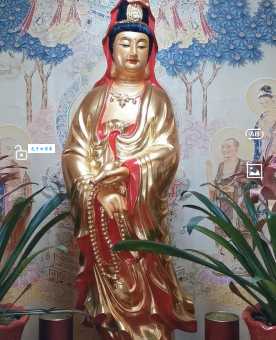 含苞欲放:深度解读词义与背后鲜为人知的典故