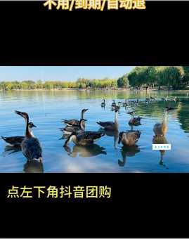 跟踪追击:解析词义,追溯典故中的追猎智慧