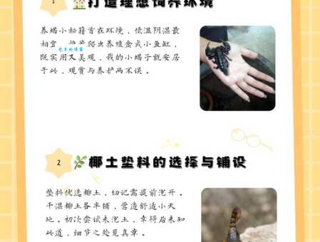 蝎子吃什么食物?蝎子饲养新手入门指南!