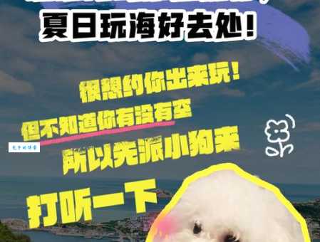 中国最浅的海好玩吗?本地人推荐这些玩法!