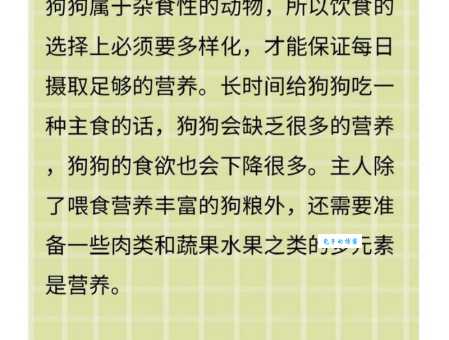 狗狗食欲不振还呕吐?这可能是生病了!