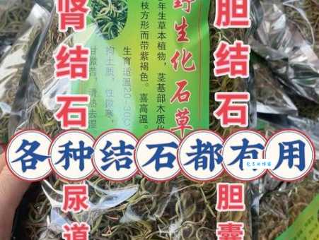石金钱是什么来的?老中医告诉你它的神奇功效