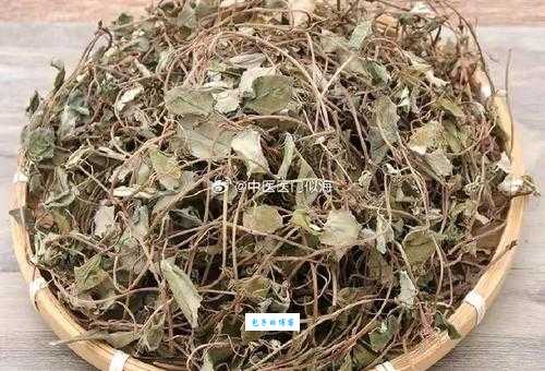 石金钱是什么来的?老中医告诉你它的神奇功效