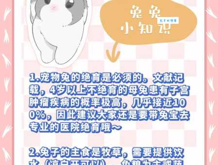 兔子养殖技术大全,新手养兔必备知识!