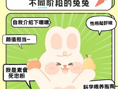 兔子养殖技术大全,新手养兔必备知识!
