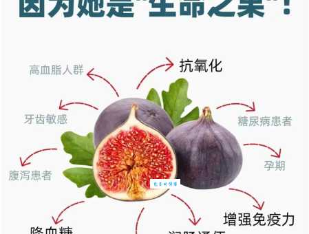 你吃的无花果有花吗?教你辨别真假无花果!