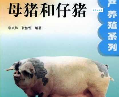 母猪产后护理怎么做?掌握这几点母猪少生病!