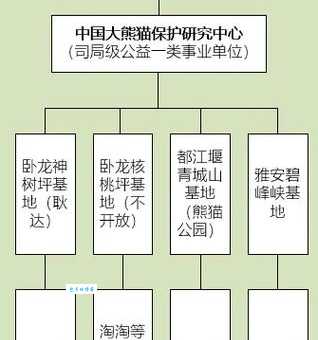 保护中国大熊猫数量,我们应该怎么做呢?