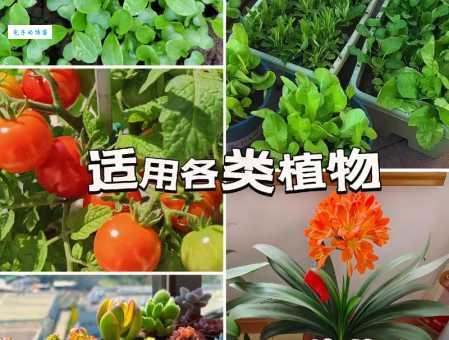 农家肥发酵技术学起来!种菜养花肥力足