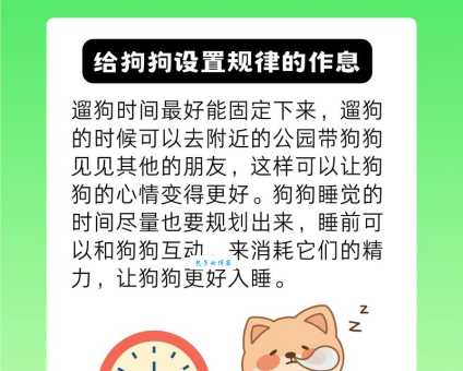 狗一般能活多久?怎样才能让狗狗陪伴我们更久呢?